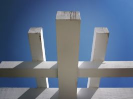 Installazione di tettoie per pergole 1376 0 Installazione di tettoie per pergole